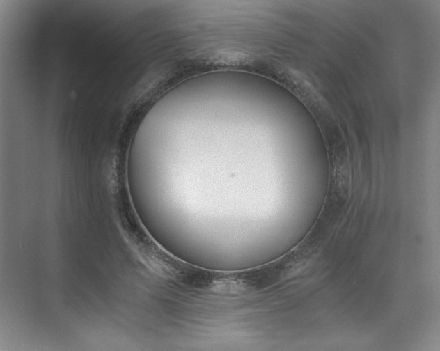 X0000073840591200608101231