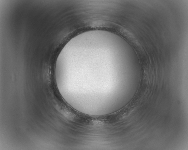 X0000073840592200608101231