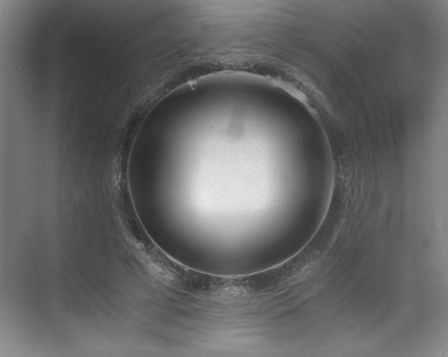 X0000073840593200608101231