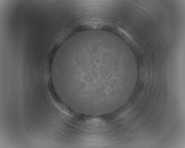 X0000073840594200608101231