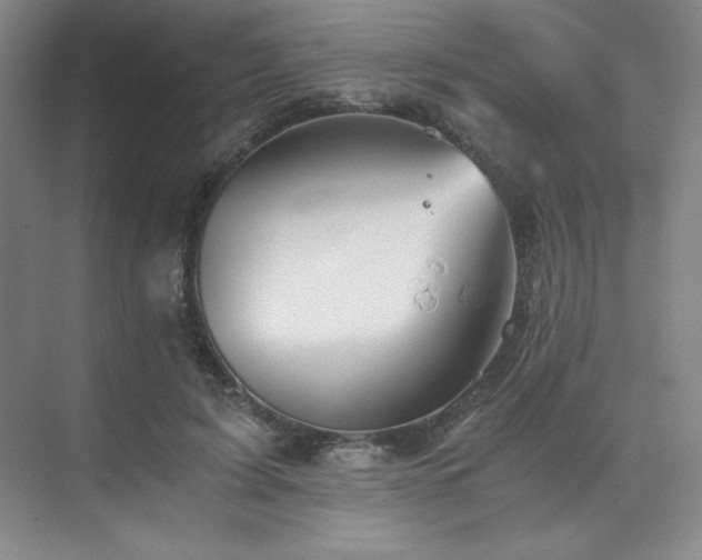 X0000073840595200608101231