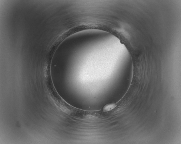 X0000073840596200608101231