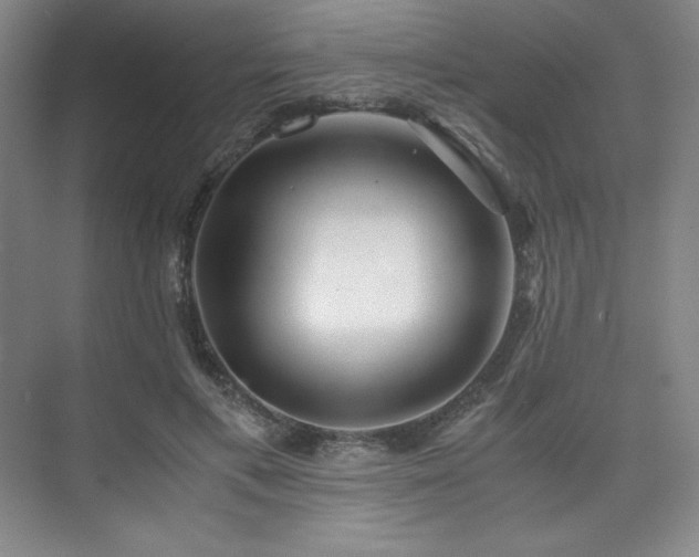 X0000073840597200608101231