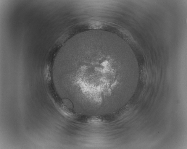 X0000073840598200608101231