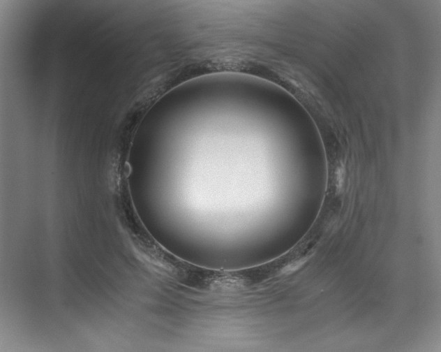 X0000073840599200608101231