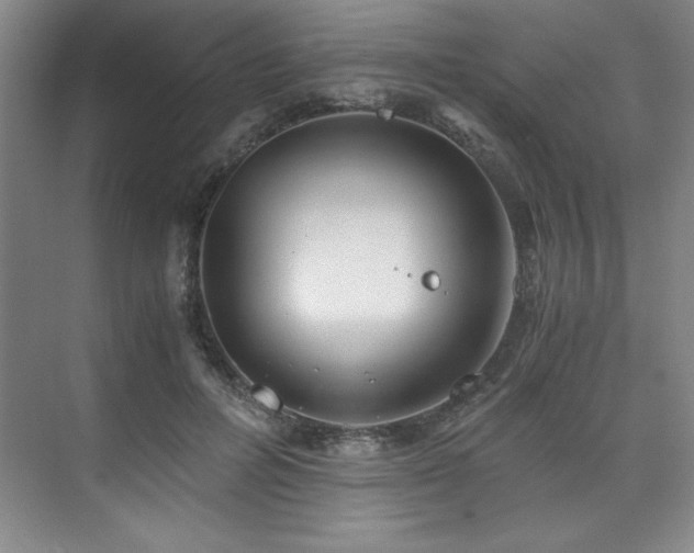 X0000073840600200608101231