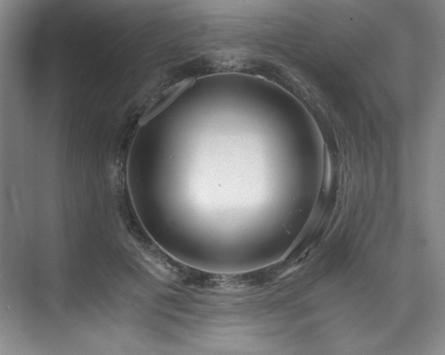 X0000073840601200608101231