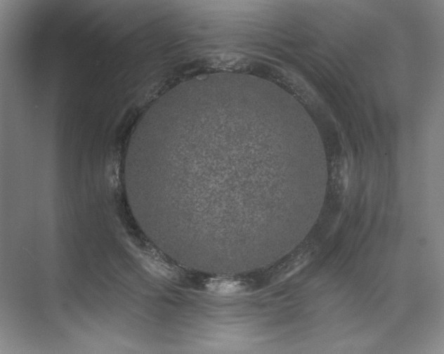 X0000073840602200608101231