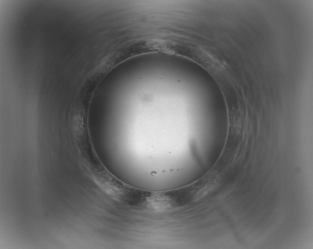 X0000073840603200608101231