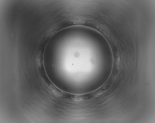 X0000073840604200608101231