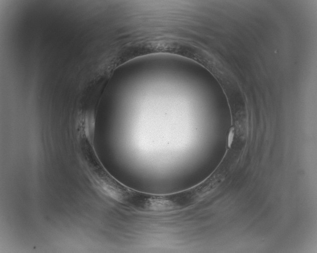 X0000073840605200608101231