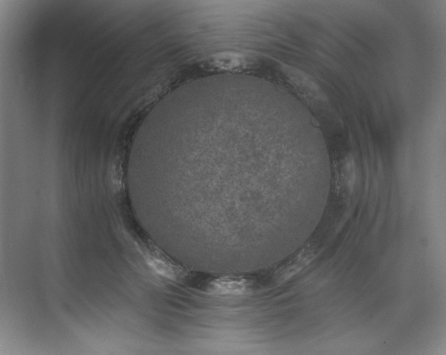 X0000073840606200608101231