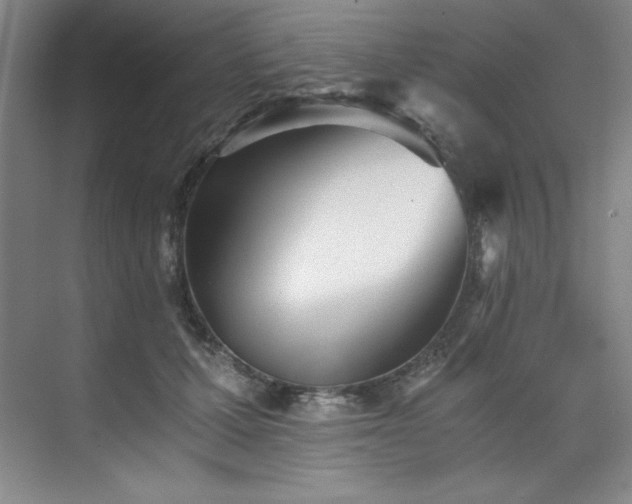 X0000073840607200608101231