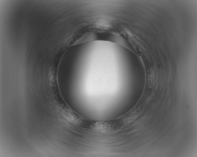 X0000073840608200608101231