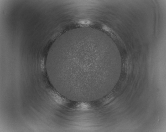 X0000073840610200608101231