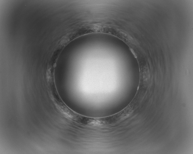 X0000073840611200608101231