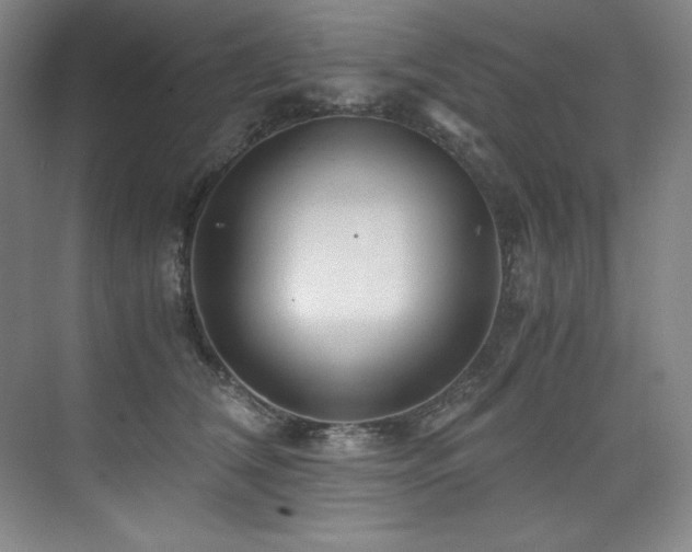 X0000073840612200608101231