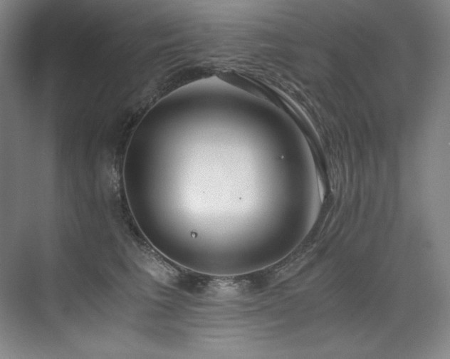 X0000073840613200608101231