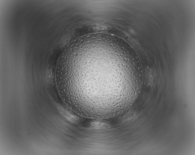 X0000073840614200608101231