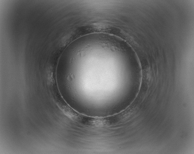 X0000073840615200608101231