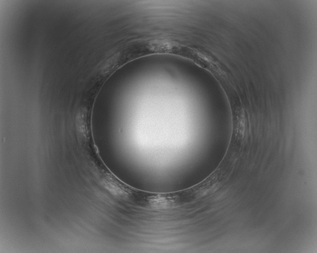 X0000073840616200608101231