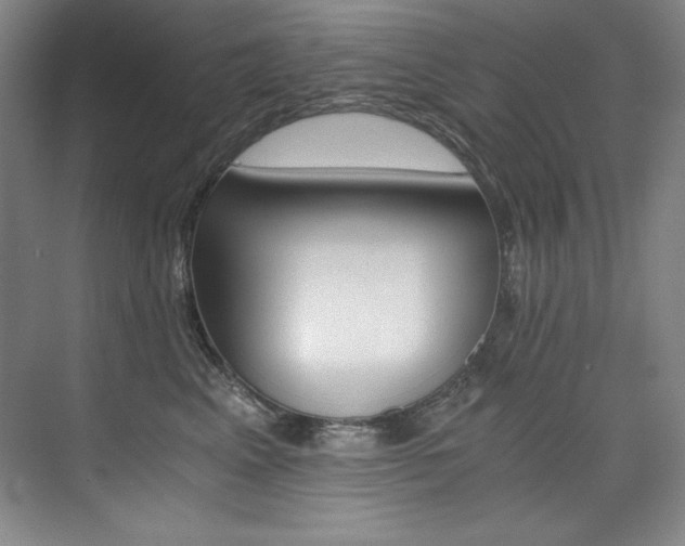 X0000073840617200608101231