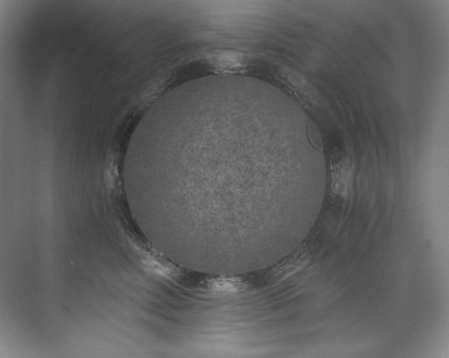 X0000073840618200608101231