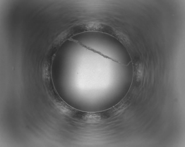 X0000073840619200608101231