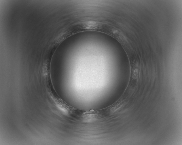 X0000073840620200608101231