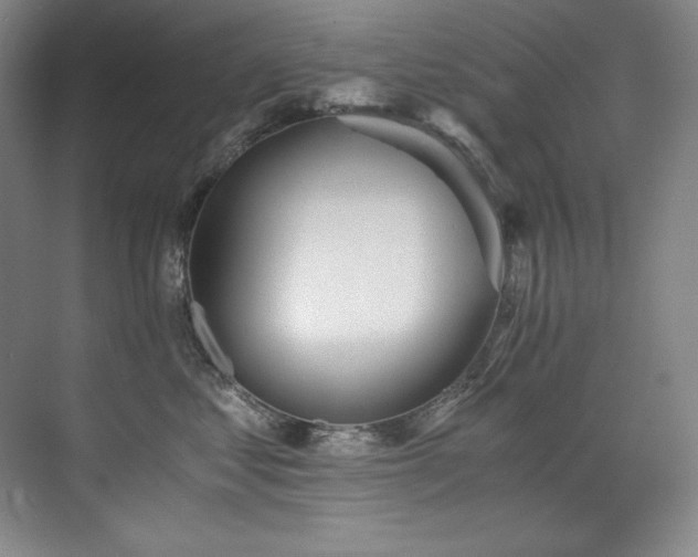 X0000073840621200608101231