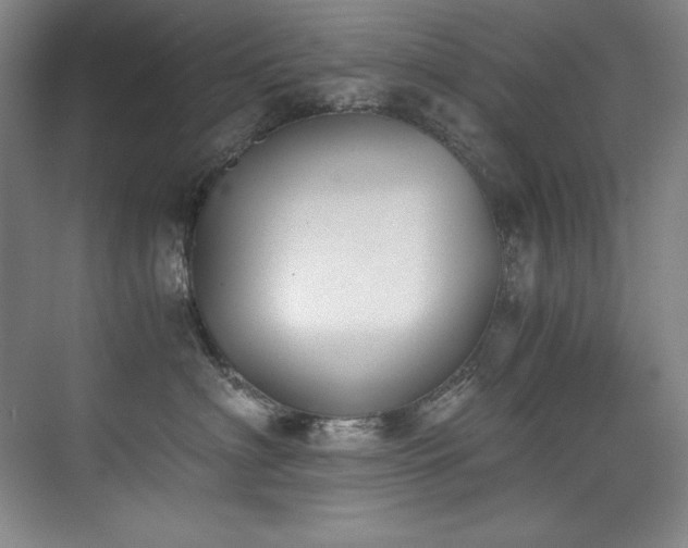 X0000073840622200608101231