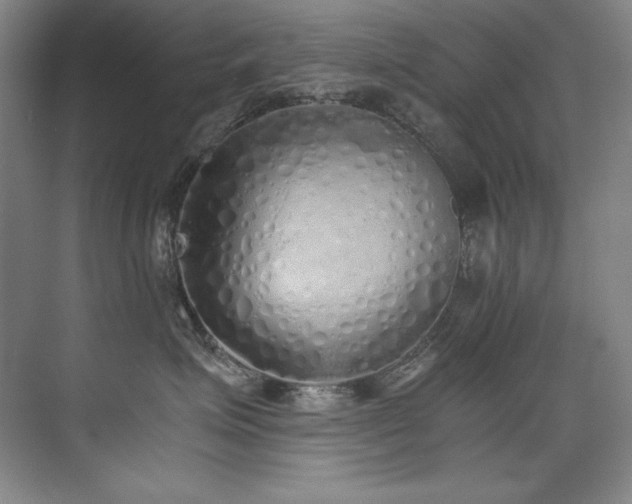 X0000073840623200608101231