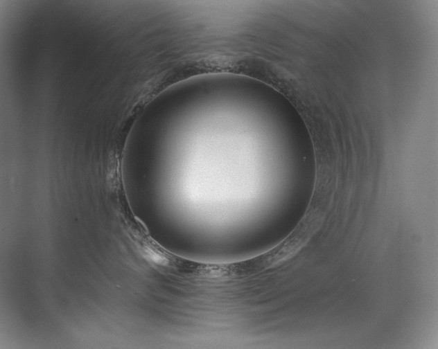 X0000073840624200608101231