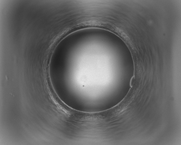 X0000073840625200608101230