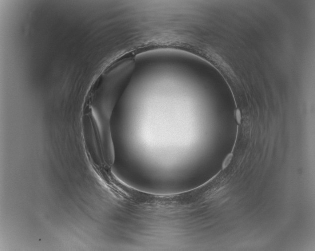 X0000073840626200608101230