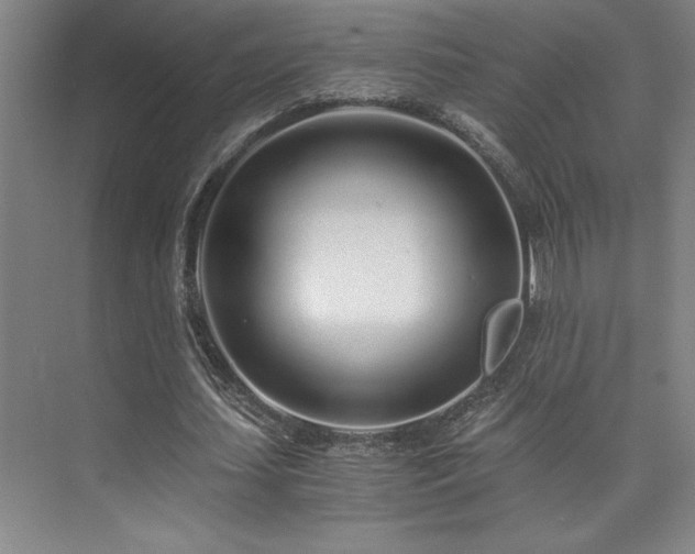 X0000073840627200608101230