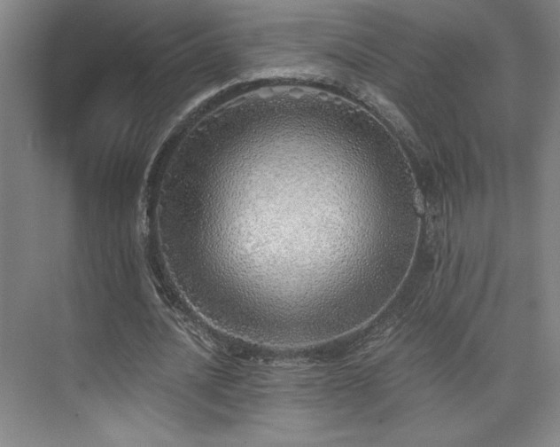 X0000073840628200608101230