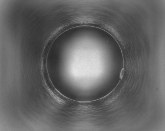 X0000073840629200608101230