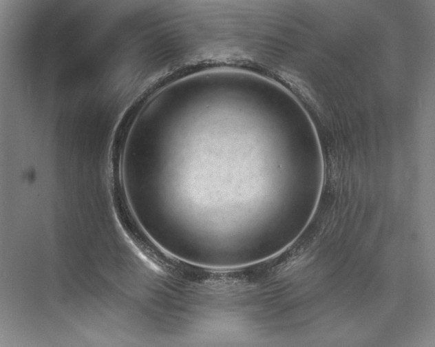 X0000073840630200608101230