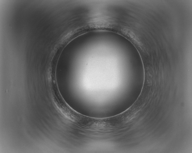 X0000073840631200608101230