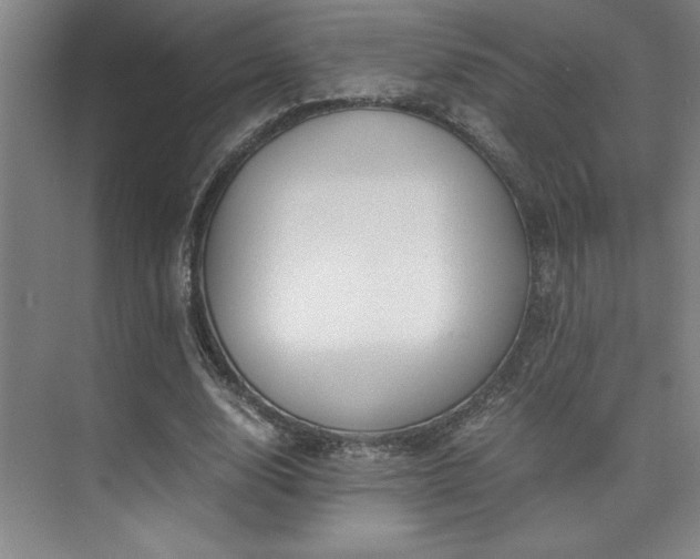 X0000073840632200608101230