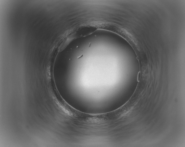 X0000073840633200608101230