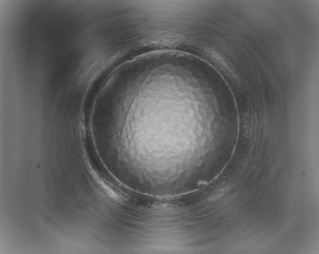 X0000073840634200608101230