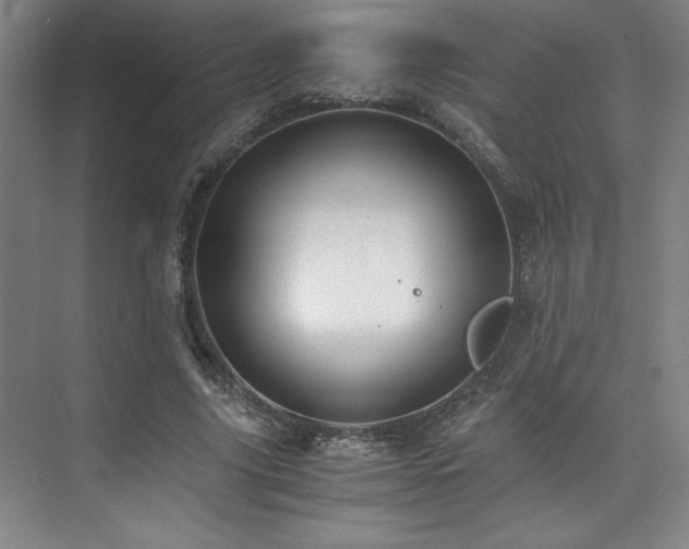 X0000073840635200608101230