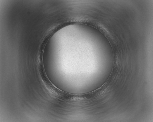 X0000073840636200608101230