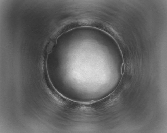 X0000073840637200608101230