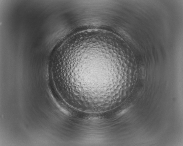 X0000073840638200608101230