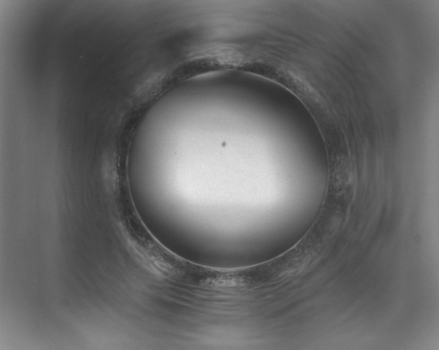 X0000073840639200608101230