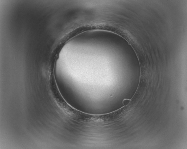 X0000073840640200608101230