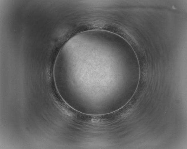 X0000073840641200608101230